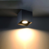 Plafon QUAD 1 czarny SOLLUX SL.0022