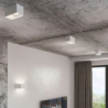 Plafon QUAD MAXI biały SOLLUX SL.0380