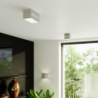 Plafon LOBO MAXI szary SOLLUX SL.0385
