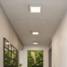 Plafon RIZA beton SOLLUX SL.0995
