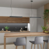 Lampa wisząca PINNE 200 czarna 3000K THORO TH.229