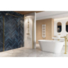 Vidoq walk-in ścianka gięta 83x200cm zło EXCELLENT KAEX.1507.830.LP.GL