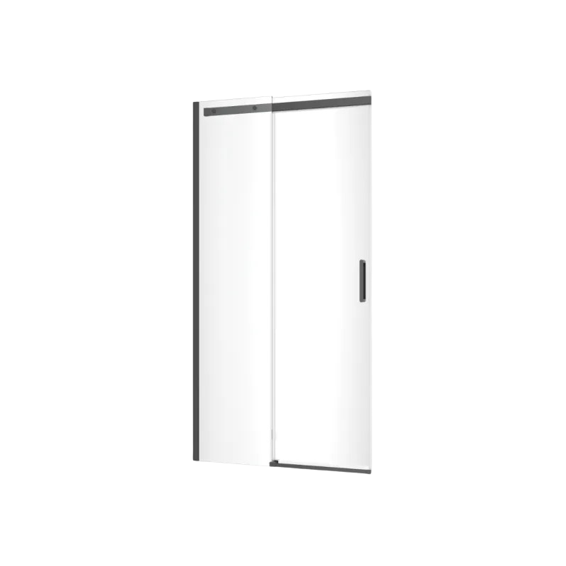 Rols drzwi wnękowe przesuwne 100x200 cm powłoka Clean Control, czarny mat EXCELLENT KAEX.2612.K.1000.BL