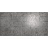 ABSTRA SILVER BLOCKS POŁYSK 49,75x99,5 REKT. GAT.1 (P.61187)