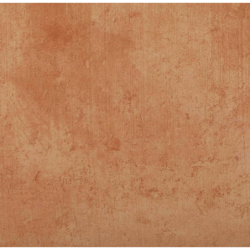 COTTO 050 RD3 SATYNA 50X50 GAT.1 (P.61413)
