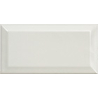 METRO LIGHT GREY POŁYSK 10X20 (P.62981)