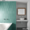 LANSE VIRIDIAN MAT 5X25 (P.63461)