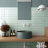 VITRAL AXIS MINT POŁYSK 5X40 (P.63497)