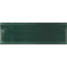 VIBE IN NEWPORT GREEN POŁYSK 6,5X20 (P.63975)