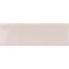 VIBE IN FAIR PINK POŁYSK 6,5X20 (P.64099)