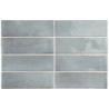 COCO BLUE GRASS POŁYSK 5X15 (P.64129)