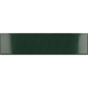 COSTA NOVA LAUREL GREEN POŁYSK 5X20 (P.64349)