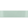 COSTA NOVA ALOE POŁYSK 5X20 (P.64351)
