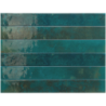 BALI HESPER POŁYSK 5X40 (P.64663)