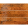 BALI GINGER POŁYSK 5X40 (P.64665)