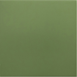 RIVOLI GREEN MAT 20X20...