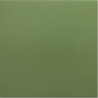 RIVOLI GREEN MAT 20X20 (P.65039)
