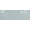 COUNTRY ASH BLUE POŁYSK 13,2X40 (P.65139)