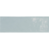 COUNTRY ASH BLUE POŁYSK 6,5X20 (P.65145)