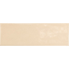 COUNTRY BEIGE POŁYSK 6,5X20 (P.65181)