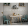 COUNTRY BLANCO POŁYSK 6,5X20 (P.65191)