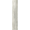 NOTTA SILVER 60x11x0,8 GAT.1 (P.66155)