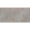 TASSERO GRIS STOPNICA NACINANA 59,7x29,7x0,85 GAT.1 (P.66389)