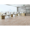 TONELLA CREAM 120,2x19,3x0,8 GAT.1 (P.66395)