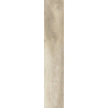 TRAMONTO BIANCO 60x11x0,8 GAT.1 (P.66401)
