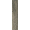 TRAMONTO GRIGIO 60x11x0,8 GAT.1 (P.66403)