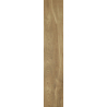 GIORNATA SABBIA 60x11x0,8 GAT.1 (P.66829)