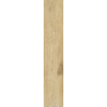 GIORNATA ORO 60x11x0,8 GAT.1 (P.66831)