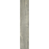 GIORNATA GRIGIO 60x11x0,8 GAT.1 (P.66835)