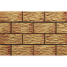 KAMIEŃ CER 30 ARAGONIT 30x14,8x0,9 GAT.1 (P.66999)