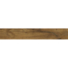 GRES GUARDIAN WOOD HONEY RECT. 120,2x19,3x0,8 GAT.1 (P.67007)