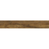 GRES GUARDIAN WOOD HONEY RECT. 120,2x19,3x0,8 GAT.1 (P.67007)