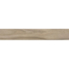 ACERO SABBIA 120,2x19,3x0,8 GAT.1 (P.67119)