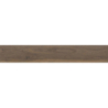 ACERO MARRONE 120,2x19,3x0,8 GAT.1 (P.67123)