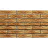 ELEWACJA GOBI RUSTIKO 24,5x6,5x0,65 GAT.1 (P.67215)