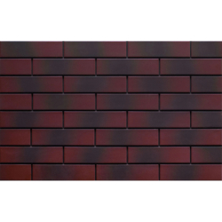 ELEWACJA BURGUND CIENIOWANA...