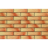 ELEWACJA ATAKAMA RUSTIKO 24,5x6,5x0,65 GAT.1 (P.67245)