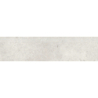 STOPNICA FREZOWANA NATURALNA GEOTEC 10 JASNOSZARY 119,7x29,7x0,8 GAT.1 (P.67759)