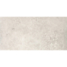 PŁYTKA NATURALNA GEOTEC 10 JASNOSZARY 59,7x29,7x0,8 GAT.1 (P.68091)