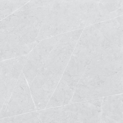 ALTAMURA SILVER MAT 60X60...