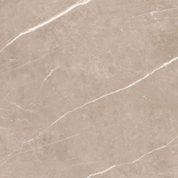 ELITE GREIGE POLER 60X60...