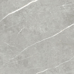 ELITE GRAY POLER 60X60...