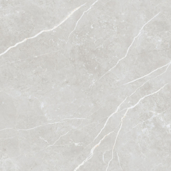 ELITE SILVER POLER 60X60...