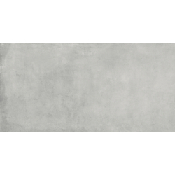 MAISON SILVER MAT 60X120...