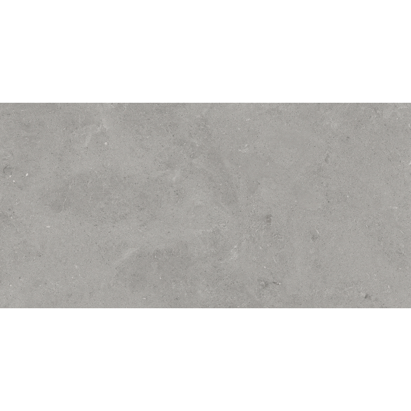 SERENASTONE SILVER MAT 60X120 REKT. (P.68467)