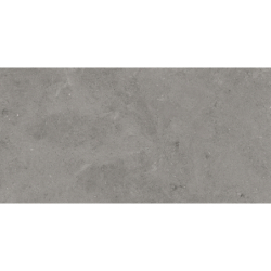 SERENASTONE GRAY MAT 60X120...
